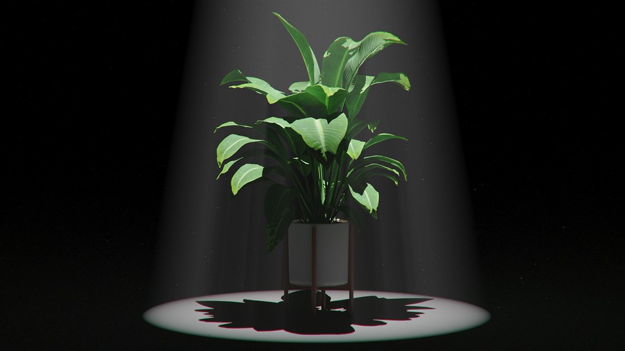 Volumetric Lighting ใน KeyShot: วิธีสร้าง “God Ray”