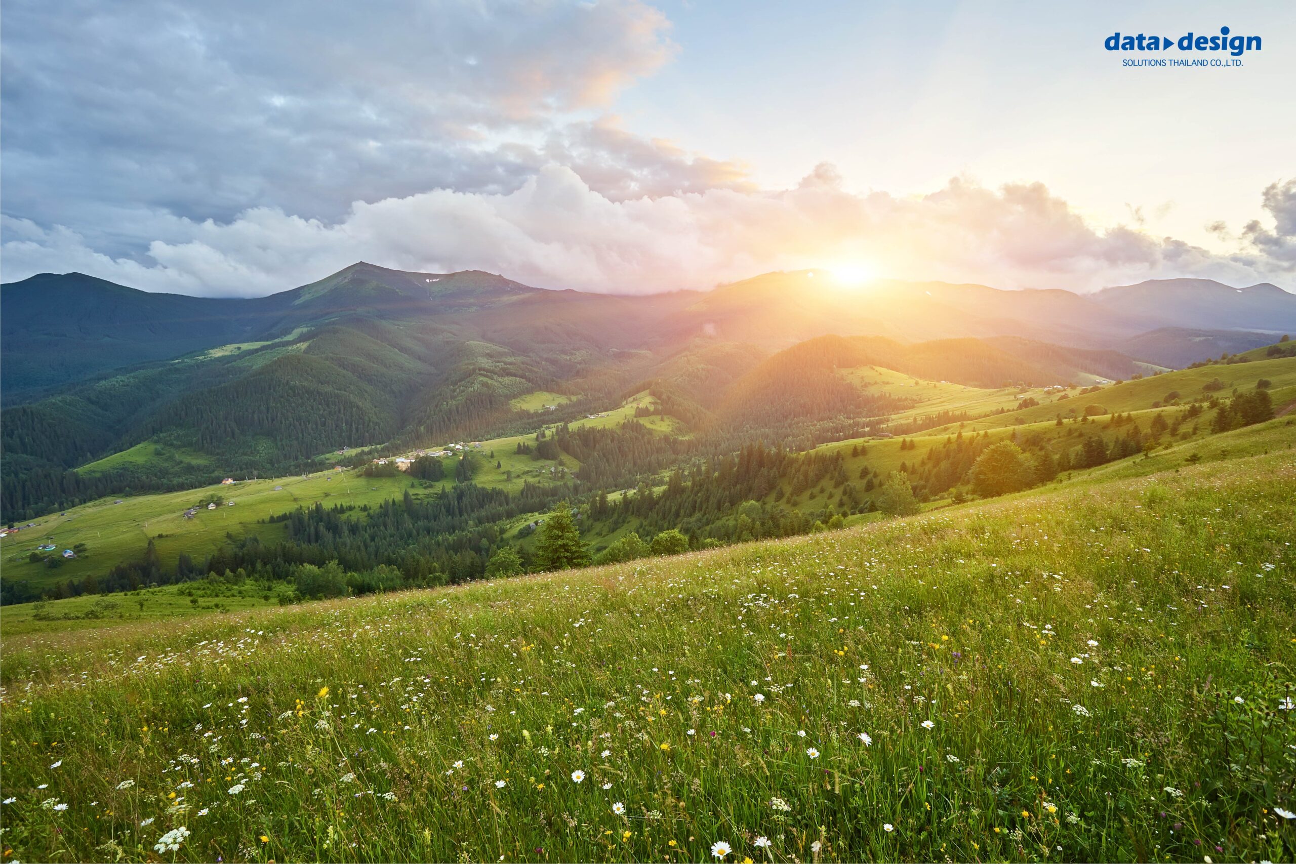 สวัสดีปีใหม่